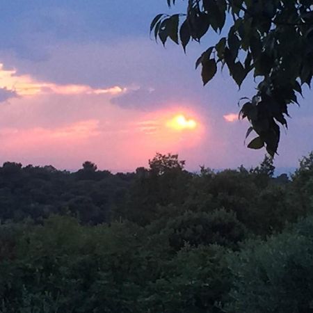 Gite Du Jardin Des Espuys Venasque Esterno foto
